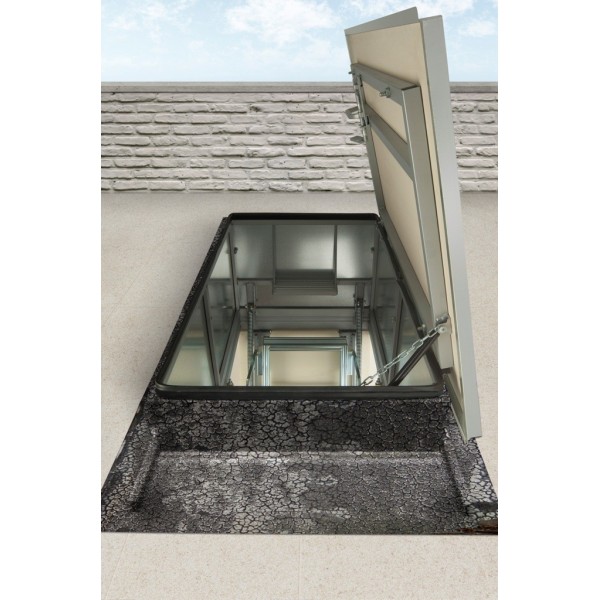 Лестницы для доступа на крышу Roof Access